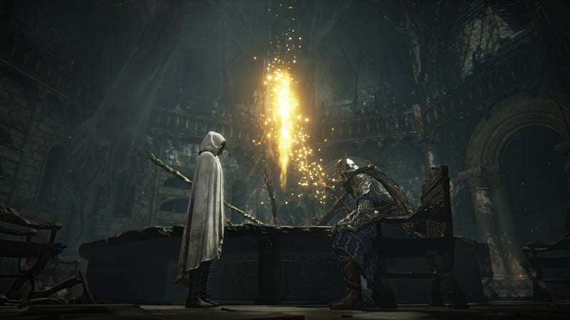 Elden Ring Nightreign, PlayStation 5