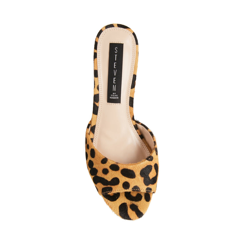 VERVE-L LEOPARD - SM REBOOTED