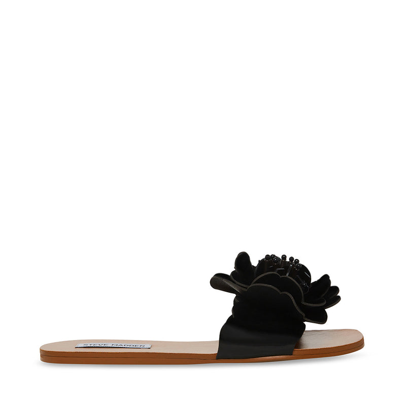CHELSEA BLACK - SM REBOOTED