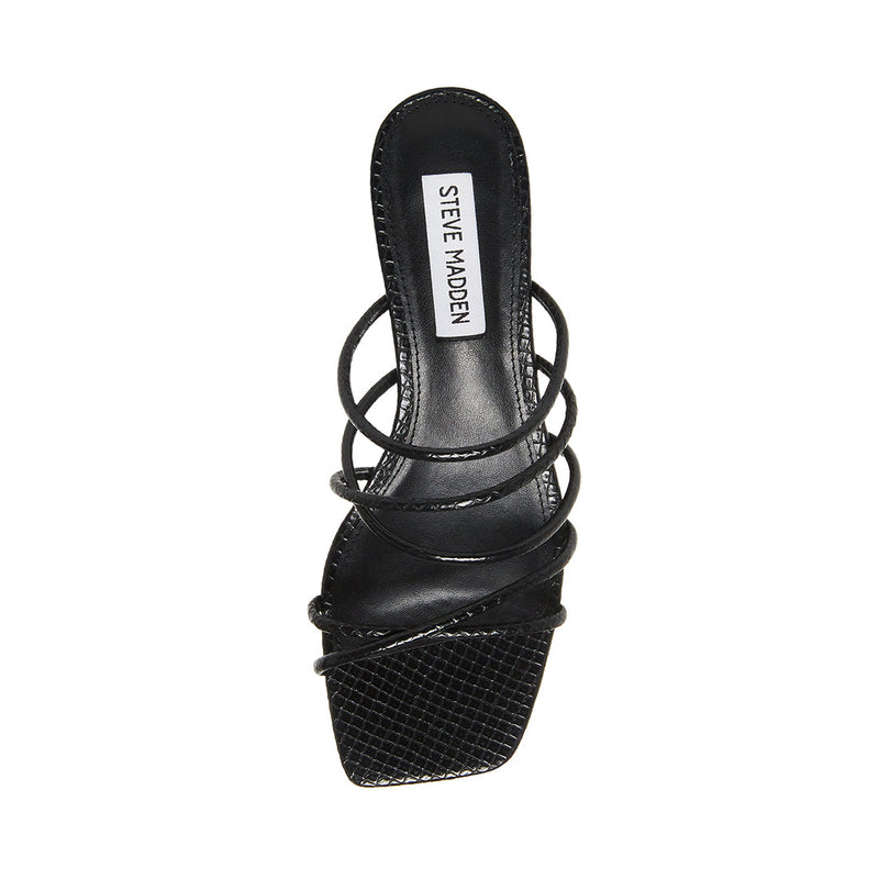 PAIGE BLACK SNAKE - SM REBOOTED