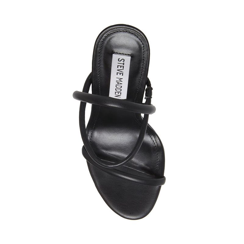 CAROLENA BLACK - SM REBOOTED