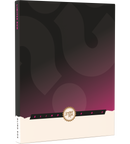 PlayStation 4 Blind Box (2024)