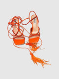 Upgrade Orange - SM REBOOTED
