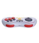 Earthion 8bitDo Controller