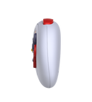 Earthion 8bitDo Controller