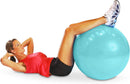 Herbionyx Stability Ball