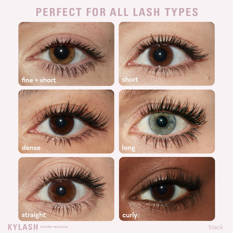 Eyeshadow Brush & The Smokey Palette & Kylash Mascara Bundle